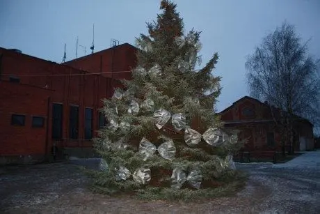 alytausgidas simeg