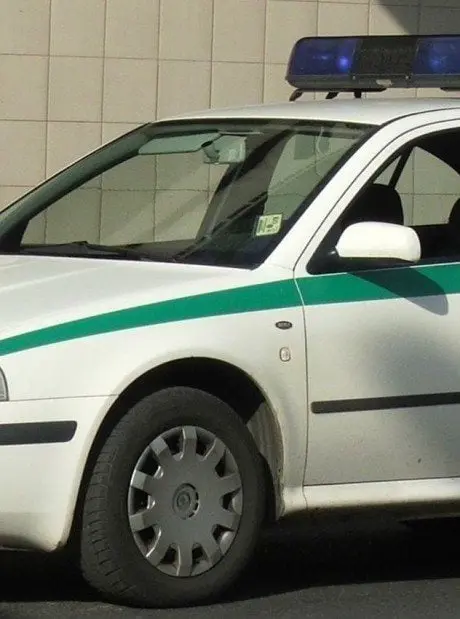 alytausgidas skodao1