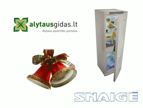 alytausgidas snaige akcija1