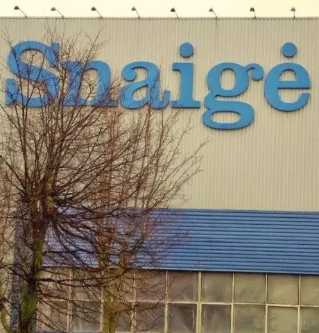 alytausgidas snaige7