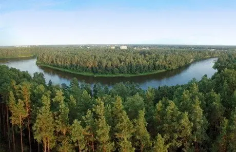 alytausgidas snorasrestpano