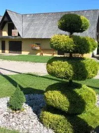 alytausgidas sodyba1