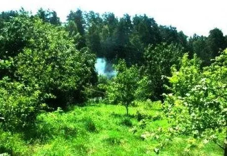alytausgidas sodzu1