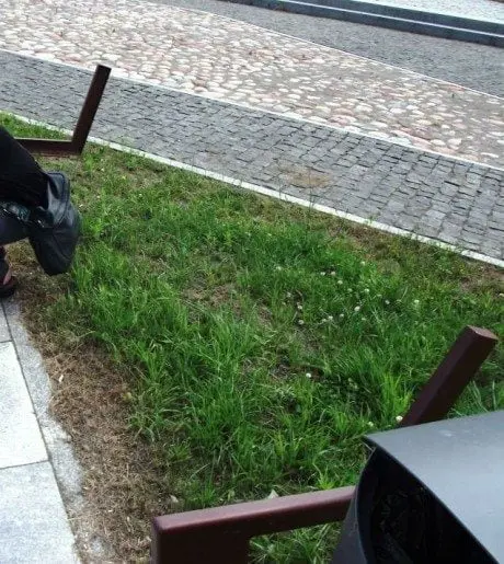 alytausgidas suolsedi1