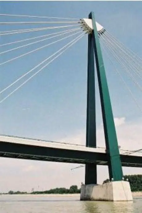 alytausgidas tiltsurg1