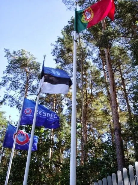 alytausgidas uefadscf33191