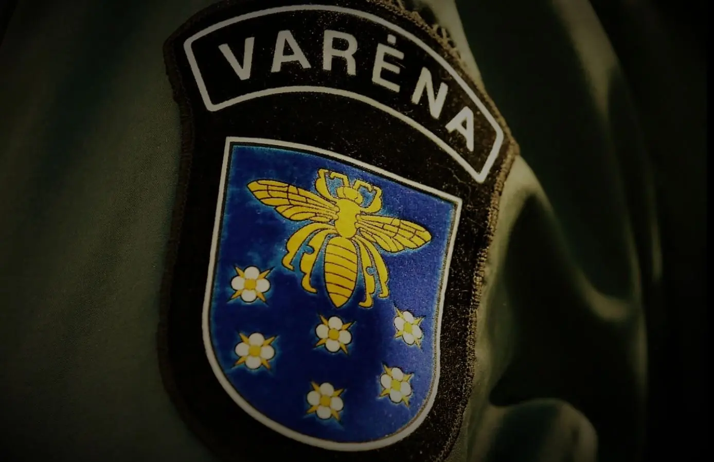 alytausgidas varpoli