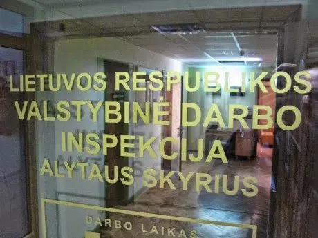 alytausgidas vdi5