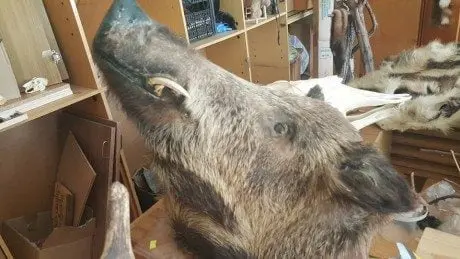 alytausgidas vidzgirio mokykla11
