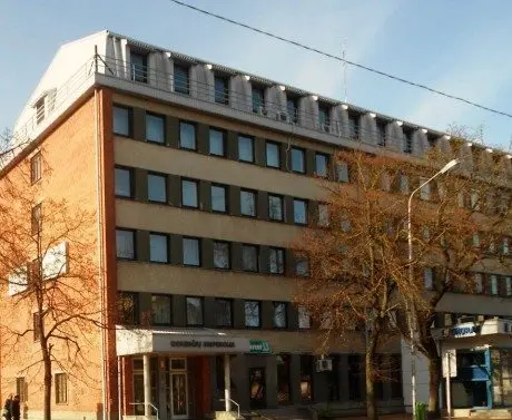 alytausgidas vmi33