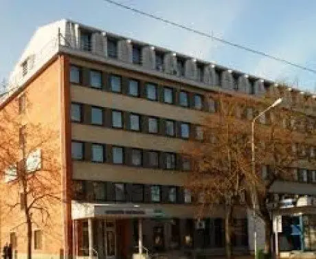 alytausgidas vmi39