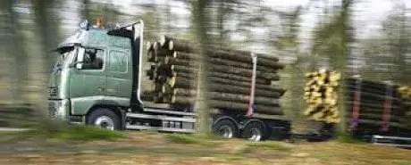 alytausgidas volvou1