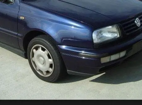 alytausgidas vw10