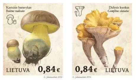 alytausgidas zenklai1