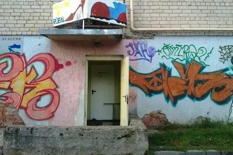 alytausgidas zib5201109060071