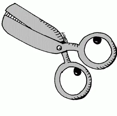 alytausgidas zirk1