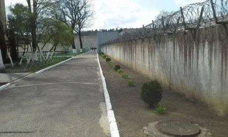alytausgidas zonaly1