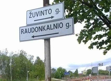 alytausgidas zuvraudgve1