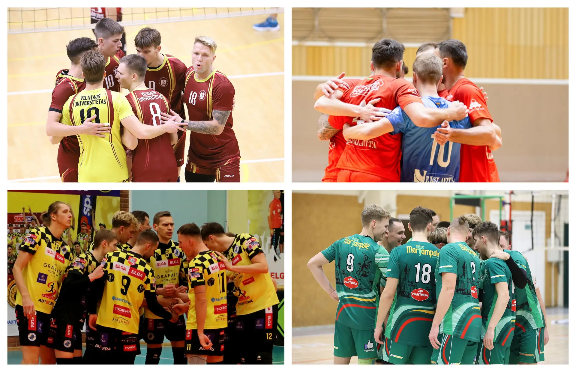 befunky collage 1