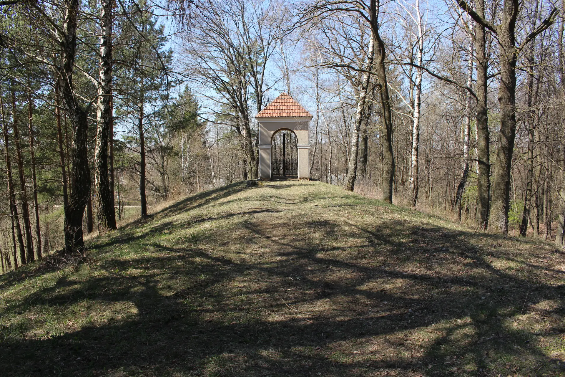 dapkimg 1998