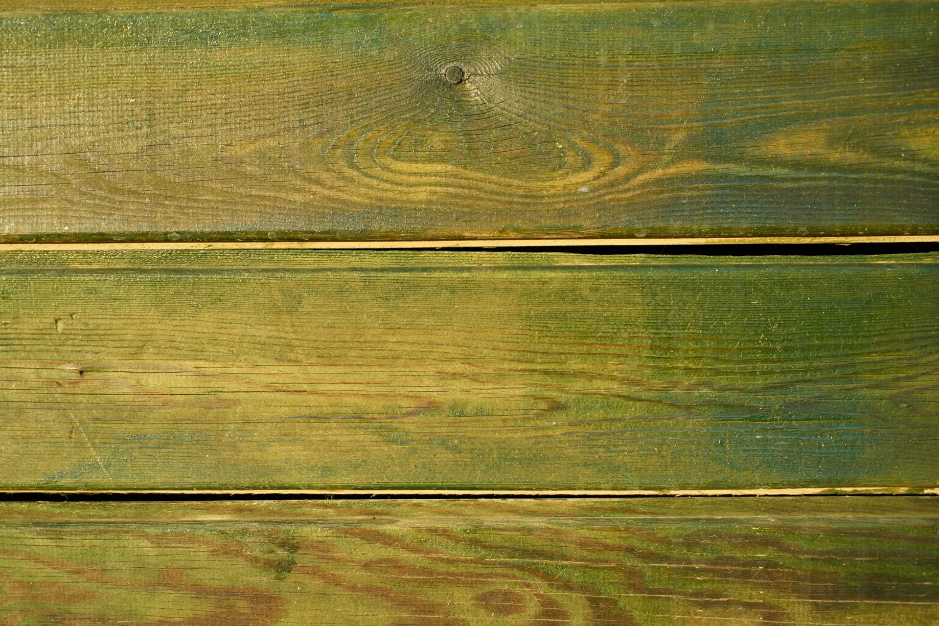 engin akyurt rjucul6kh w unsplash