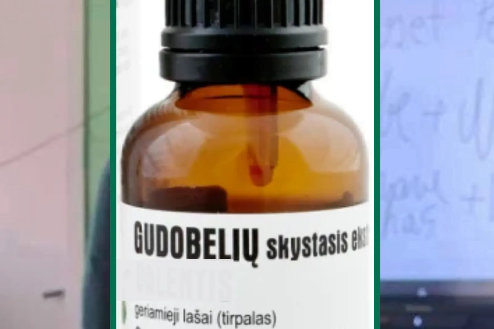 gudobel