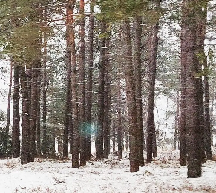 img 20211230 144529 01