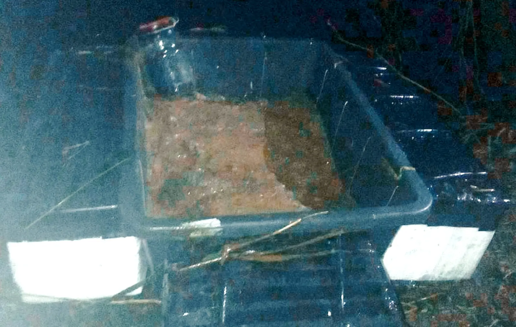 img 20230205 015747