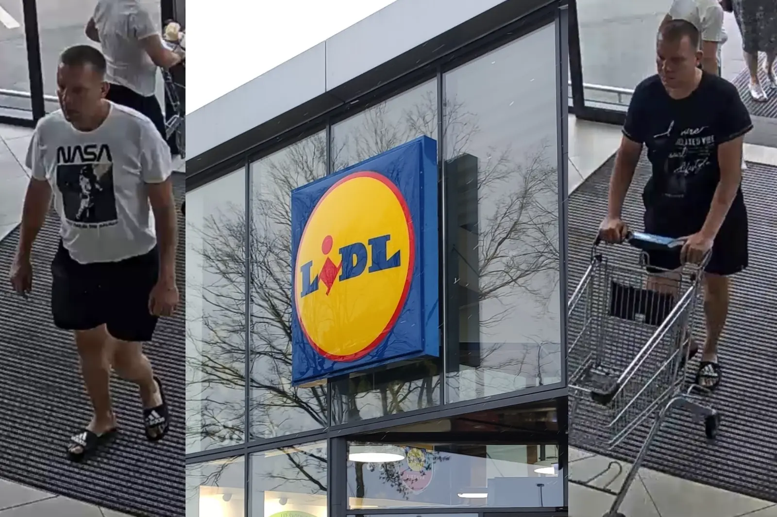 lid