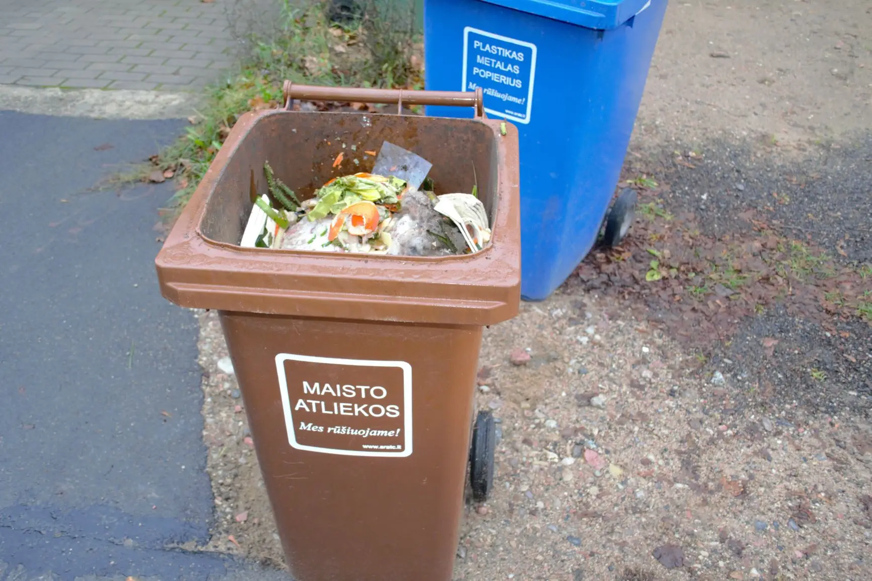 maisto atliekos konteineryje individualiu