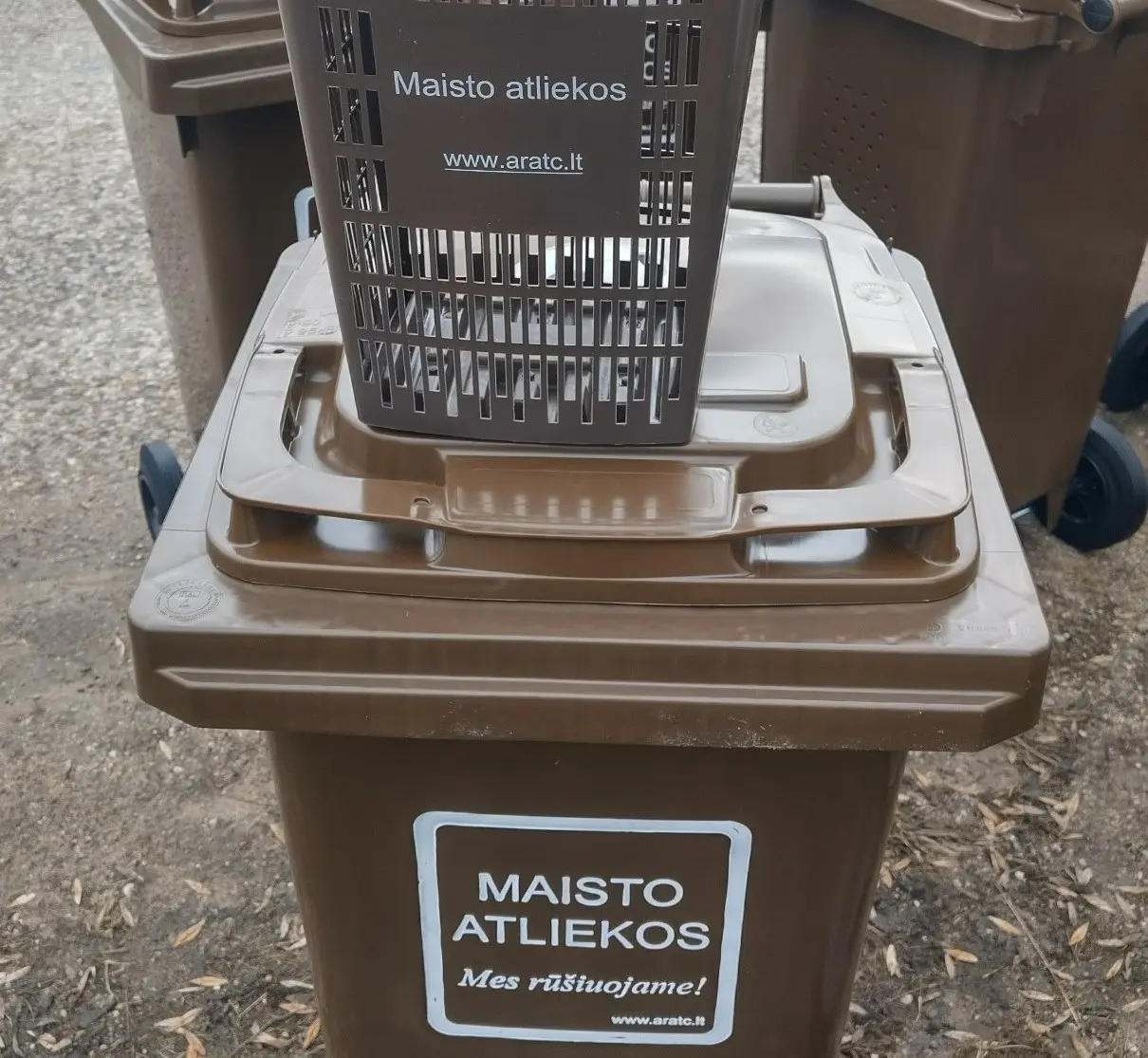 maisto konteineris 1s
