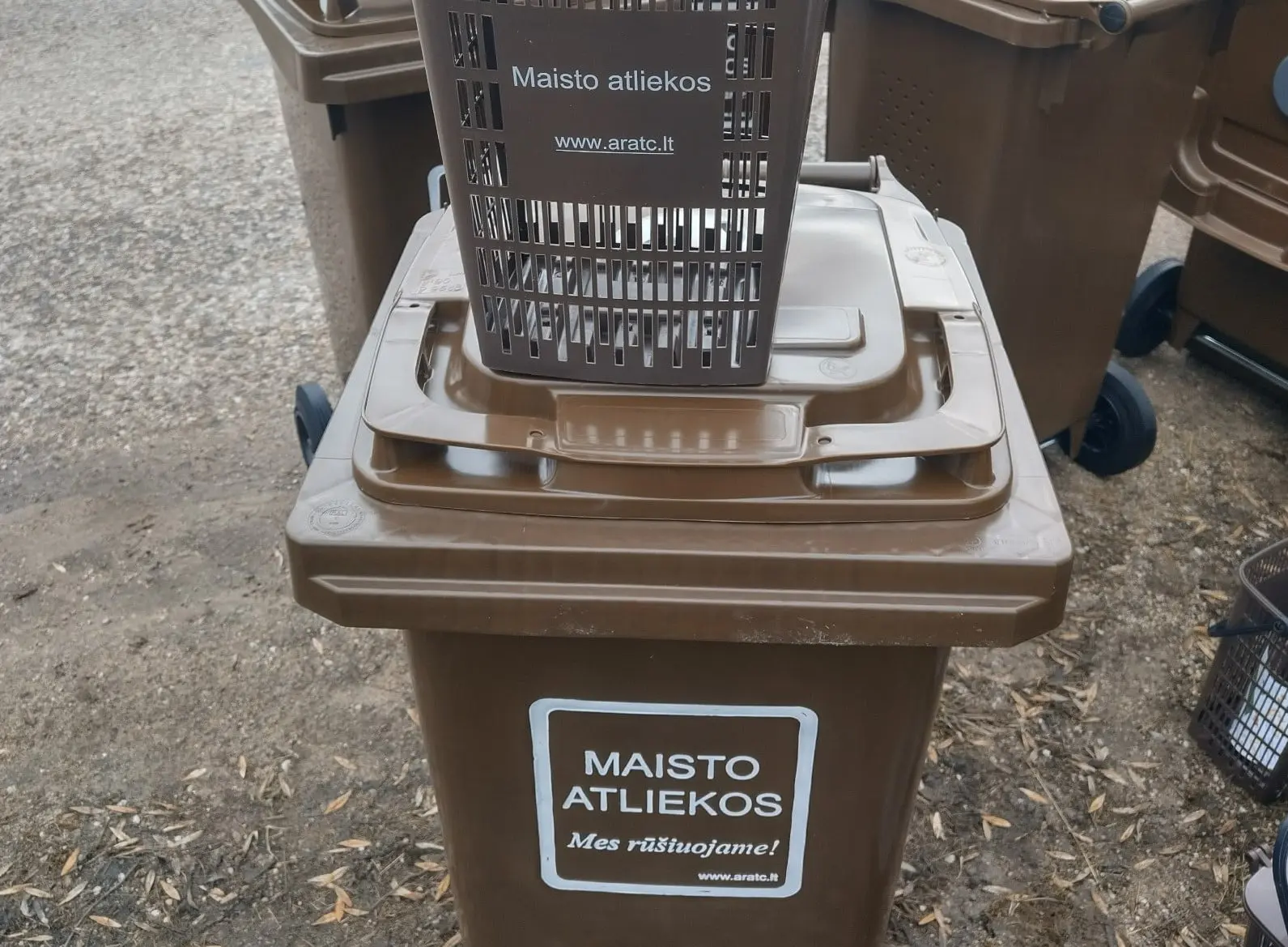 maisto konteineriss