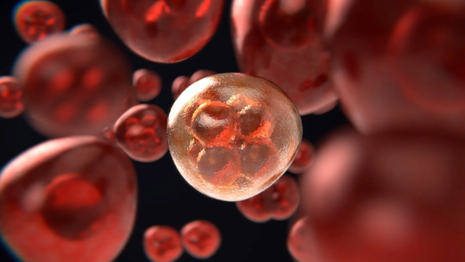 mitosis g79cfff43d 1920