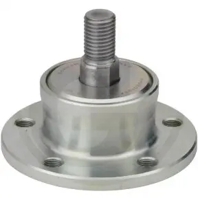 nsk guoliai