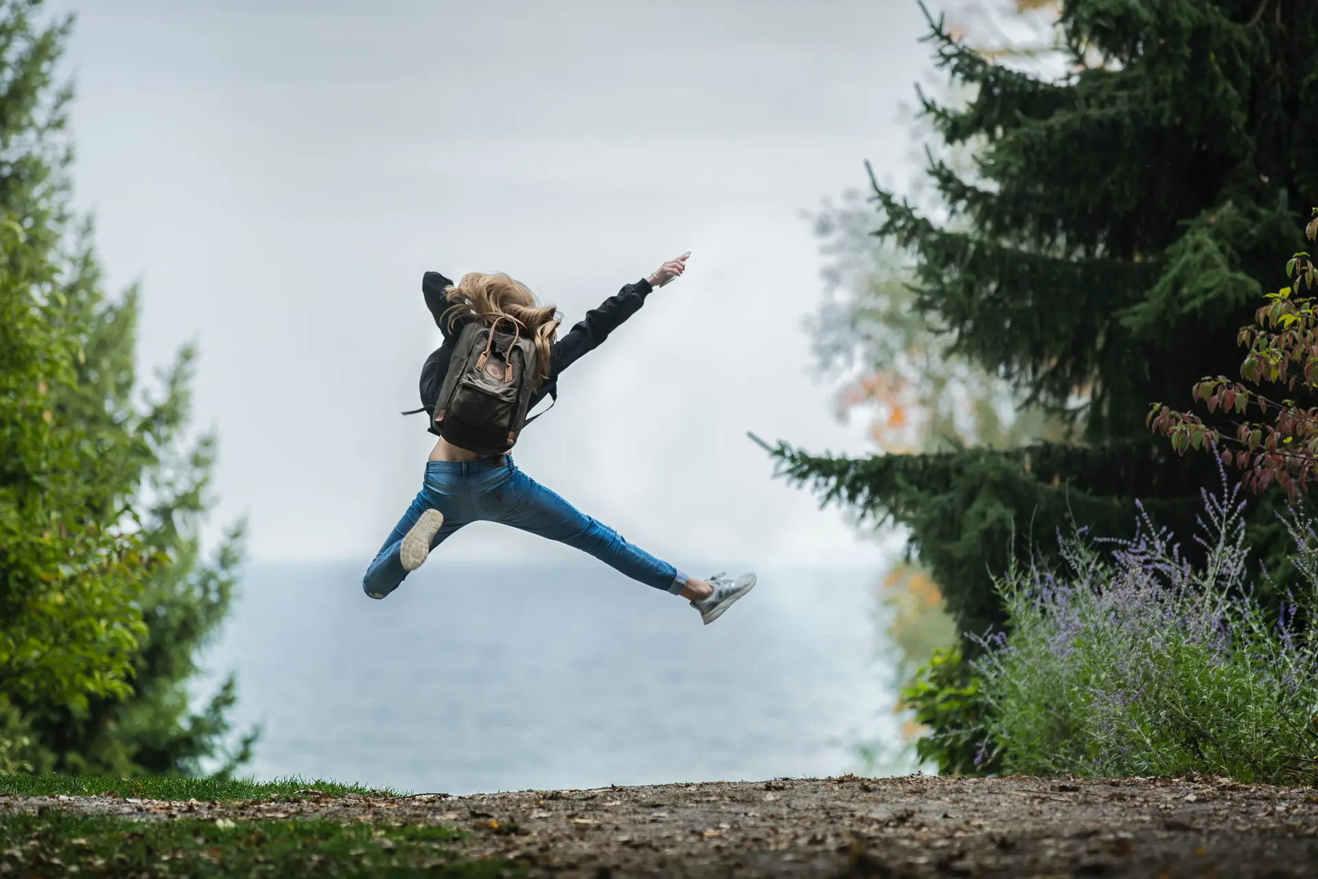 pexels sebastian arie voortman 214574