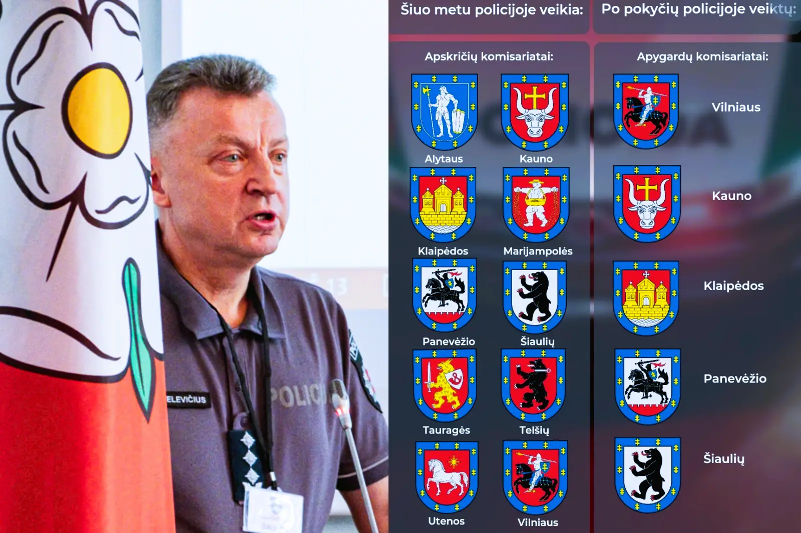polimazi