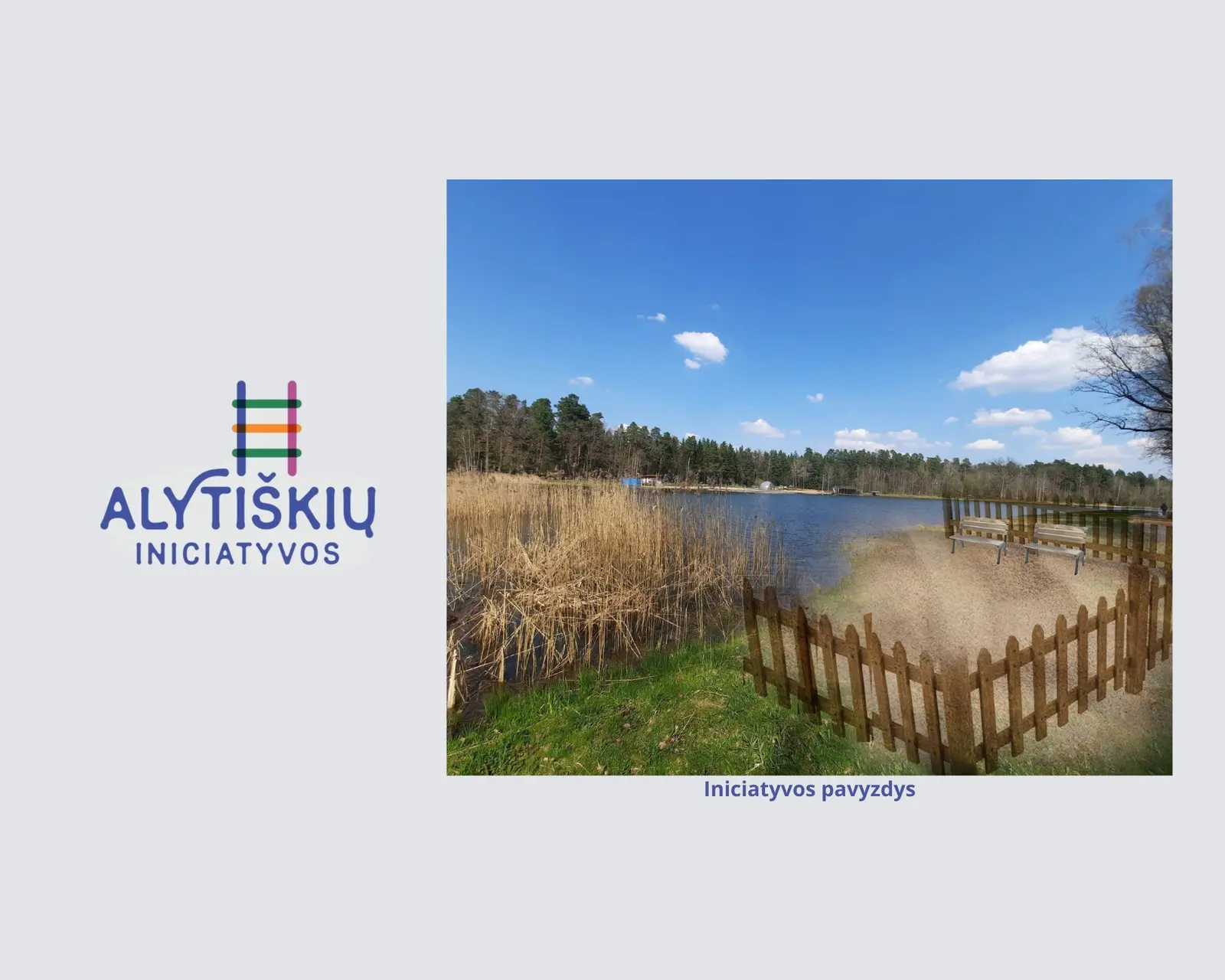 projektas alytaus gyvunu papludimys