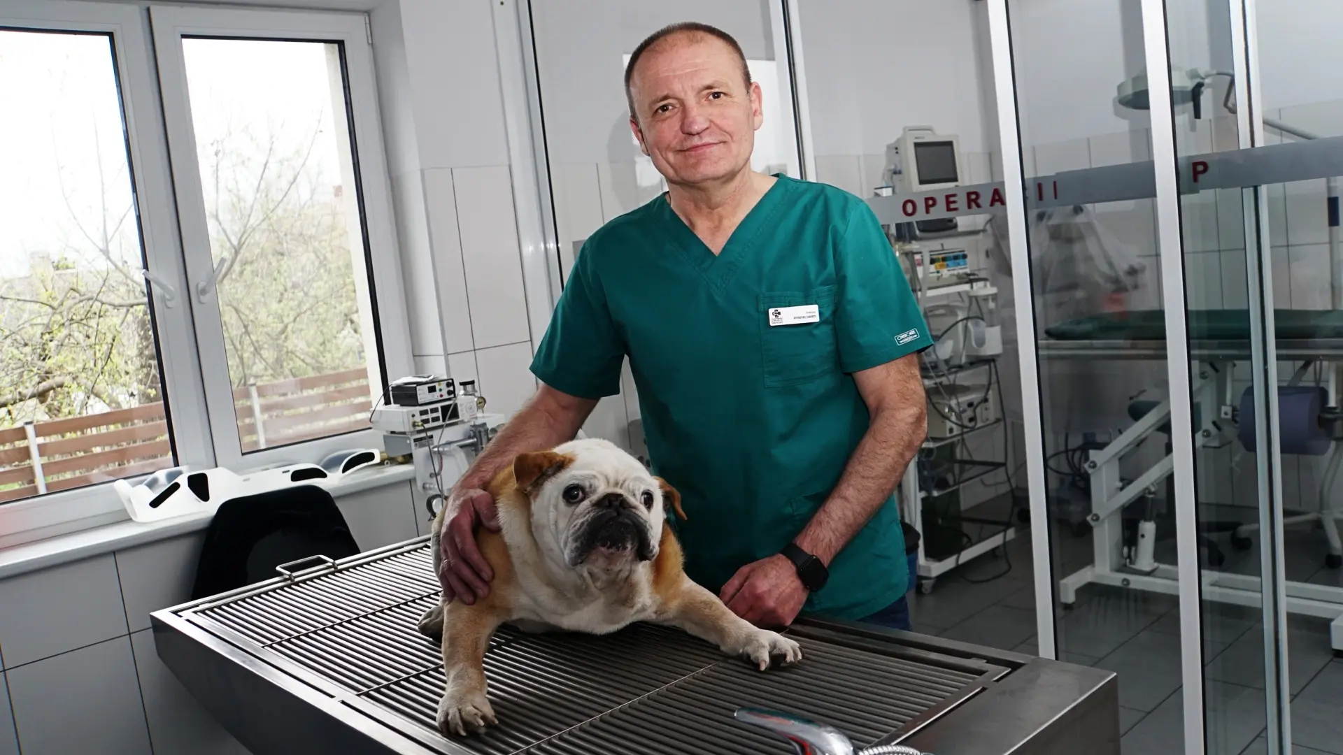 snaucerisvet