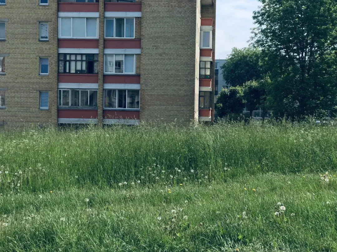 zole tvarkau alytu nuotrauka