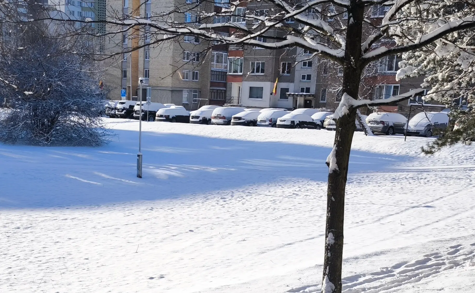 img 20250216 095538