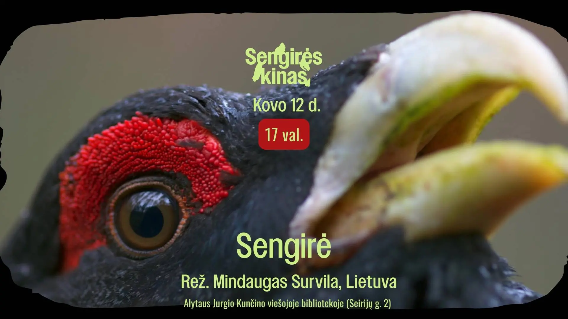 sengire facebook event