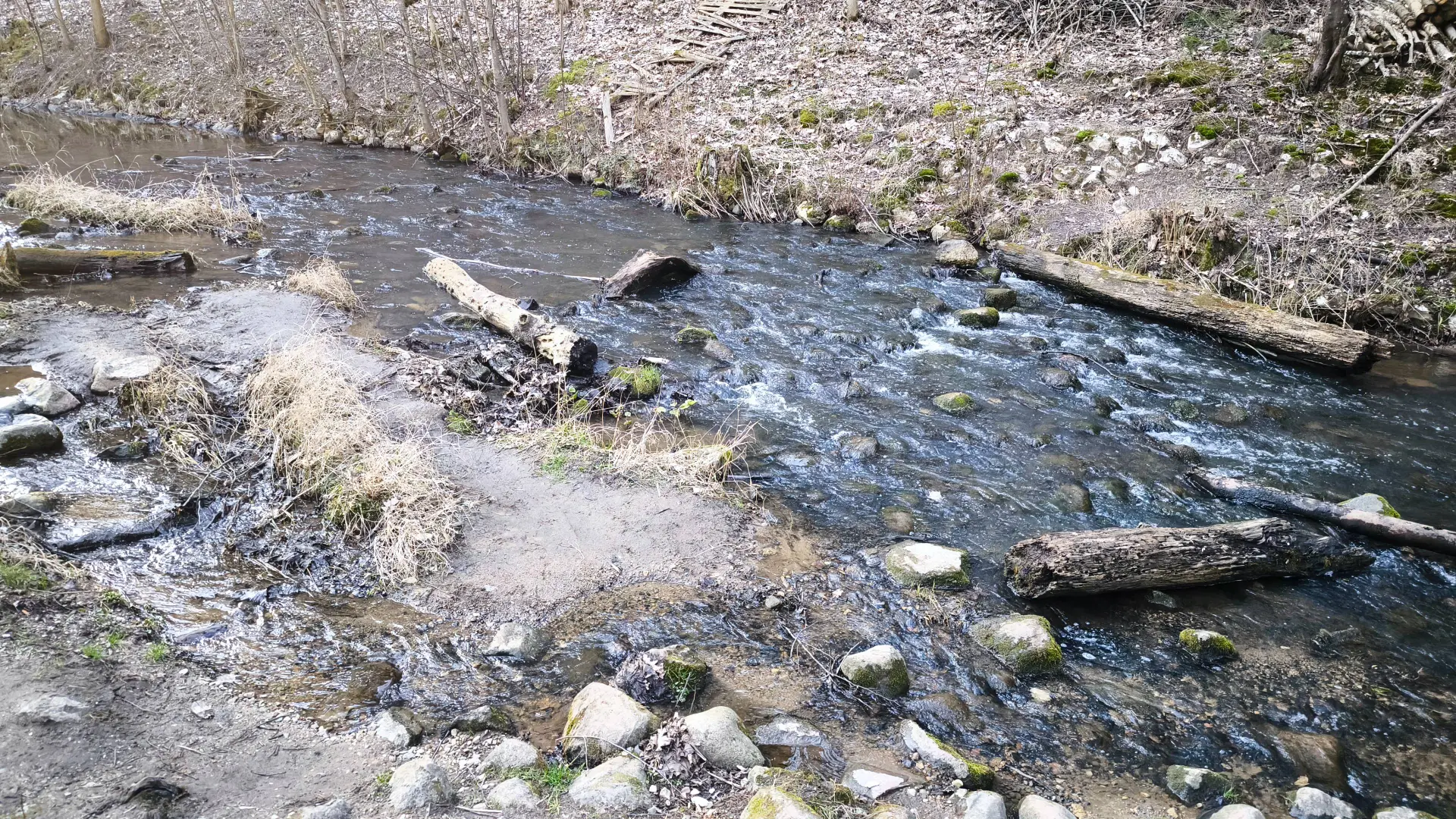 img 20250308 151408
