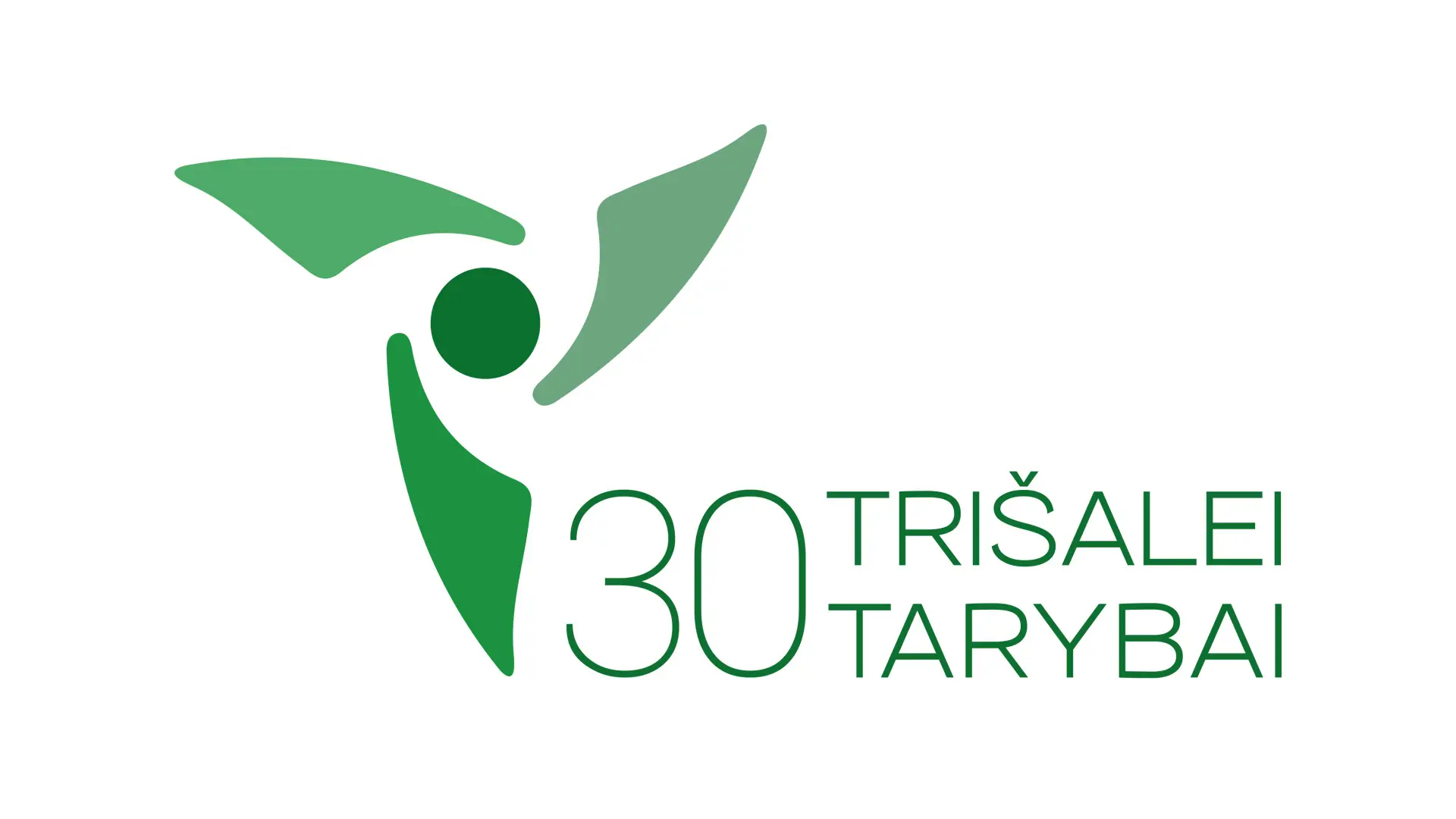 2025 05 07 sadm trisales tarybos uzsklanda 12