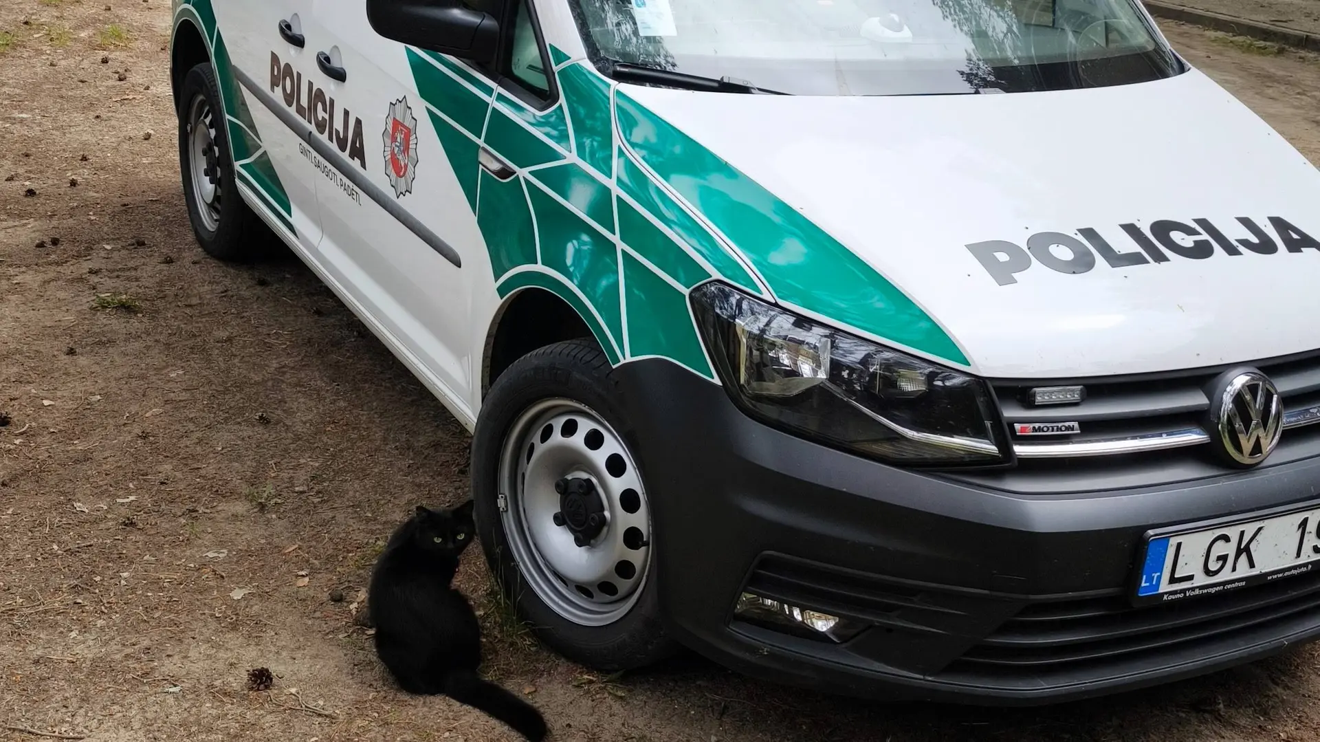 policija kat