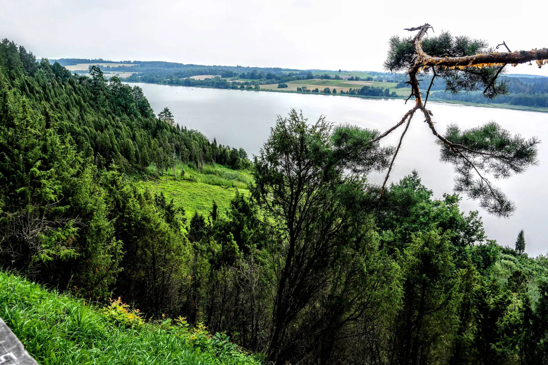 kadagiu
