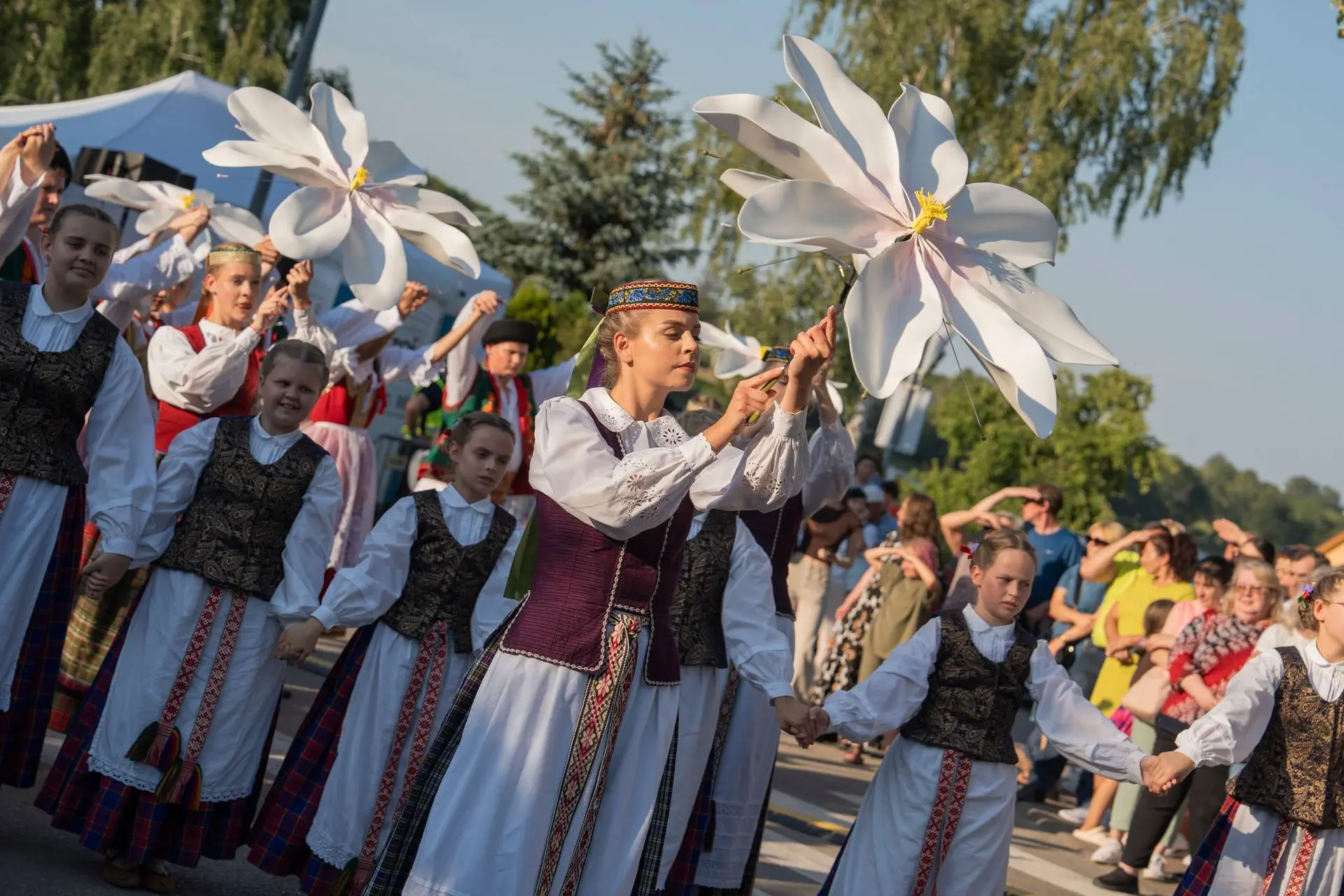 „Tautų kultūros medis“