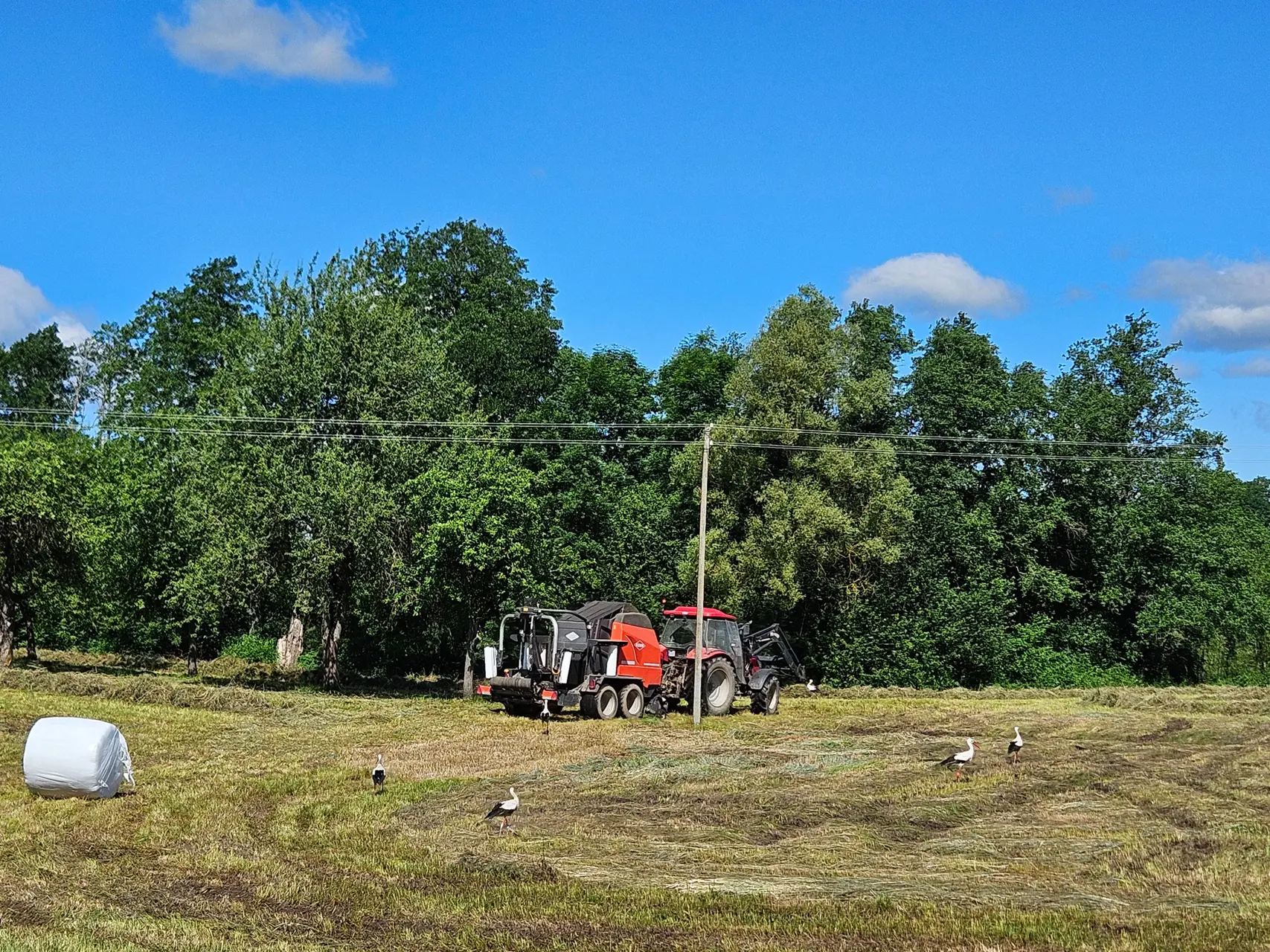 kaip issirinkti traktoriu