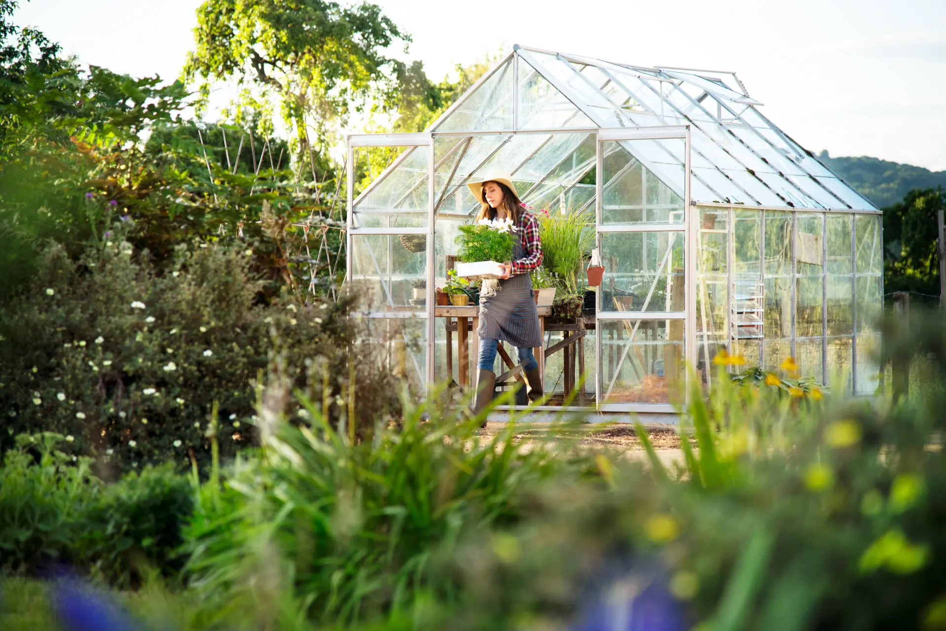 young-woman-working-glass-greenhouse