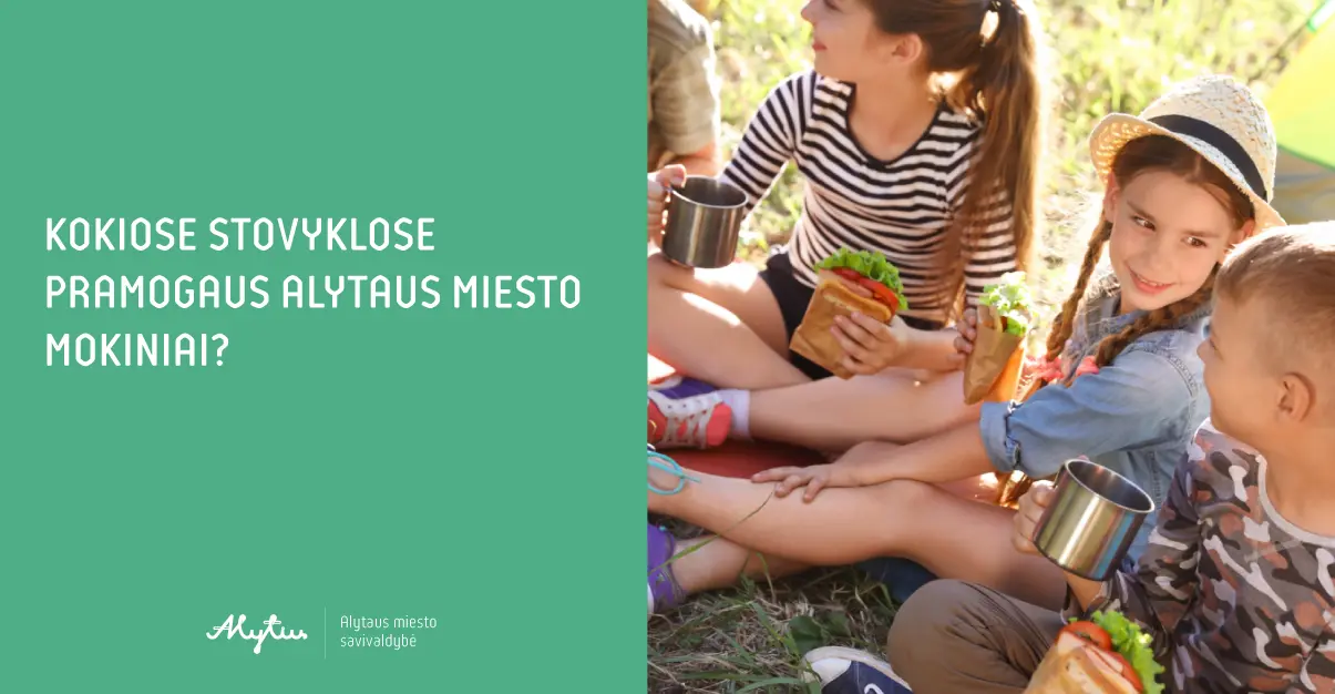 Maketas svetainei