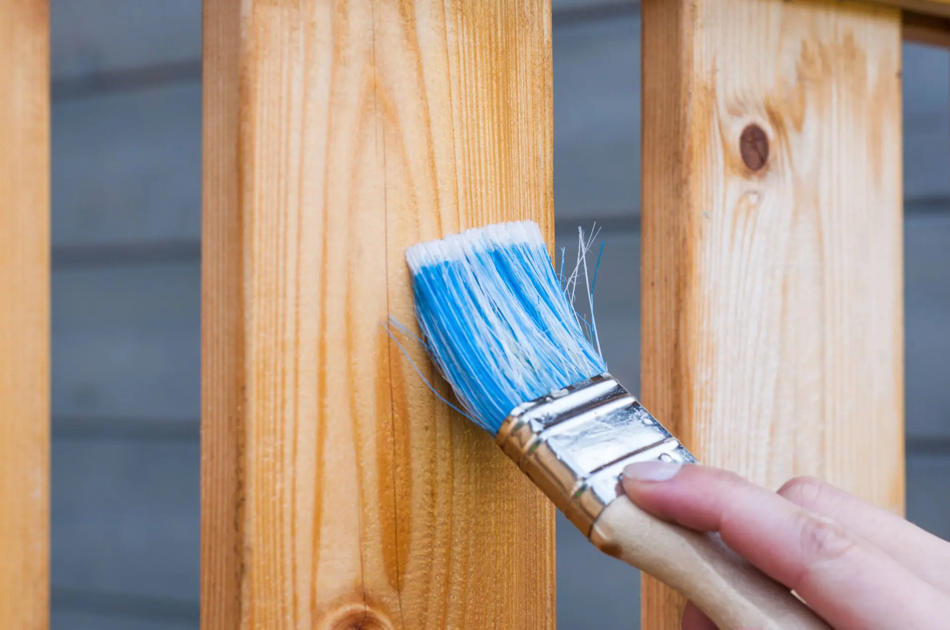 https-www-pexels-com-photo-person-holding-paintbrush-221027